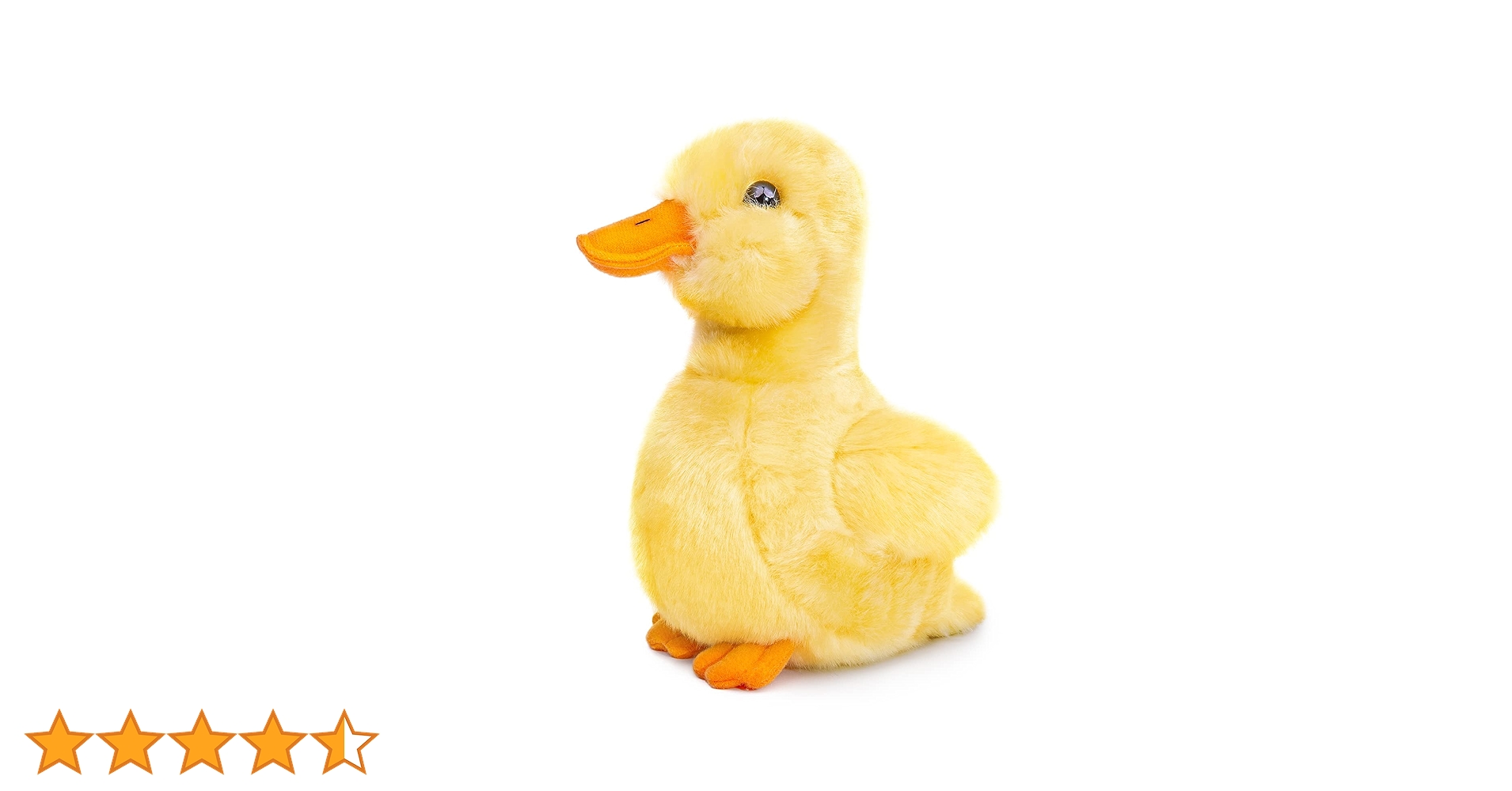 61eqhbwJugL.jpg_BO30,255,255,